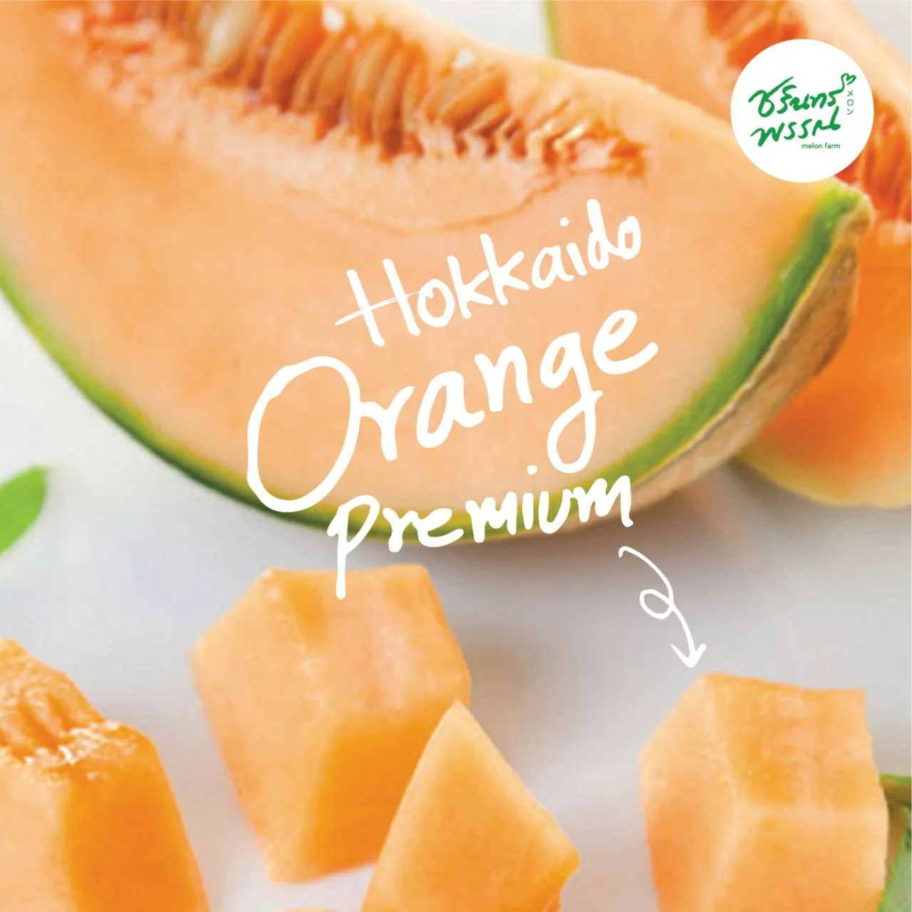 Premium seasonal melon